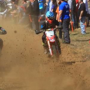 Meet your Posher, Dalton